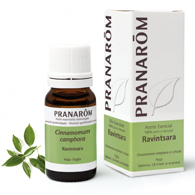 Pranarom - Ravintsara 10ml Aceites Esenciales Naturales