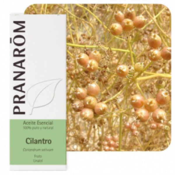 Pranarom-Cilantro-10Ml-Aceites-Esenciales-Naturales-Biopharmacia,-Parafarmacia-online