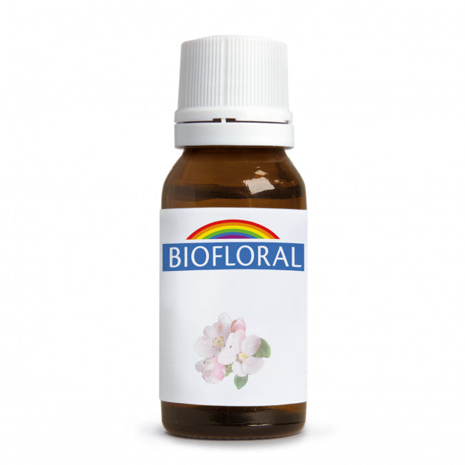 Biofloral-Flores-De-Bach-34-Water-Violet-Bio-Granulos-9-Grs-Biopharmacia,-Parafarmacia-online